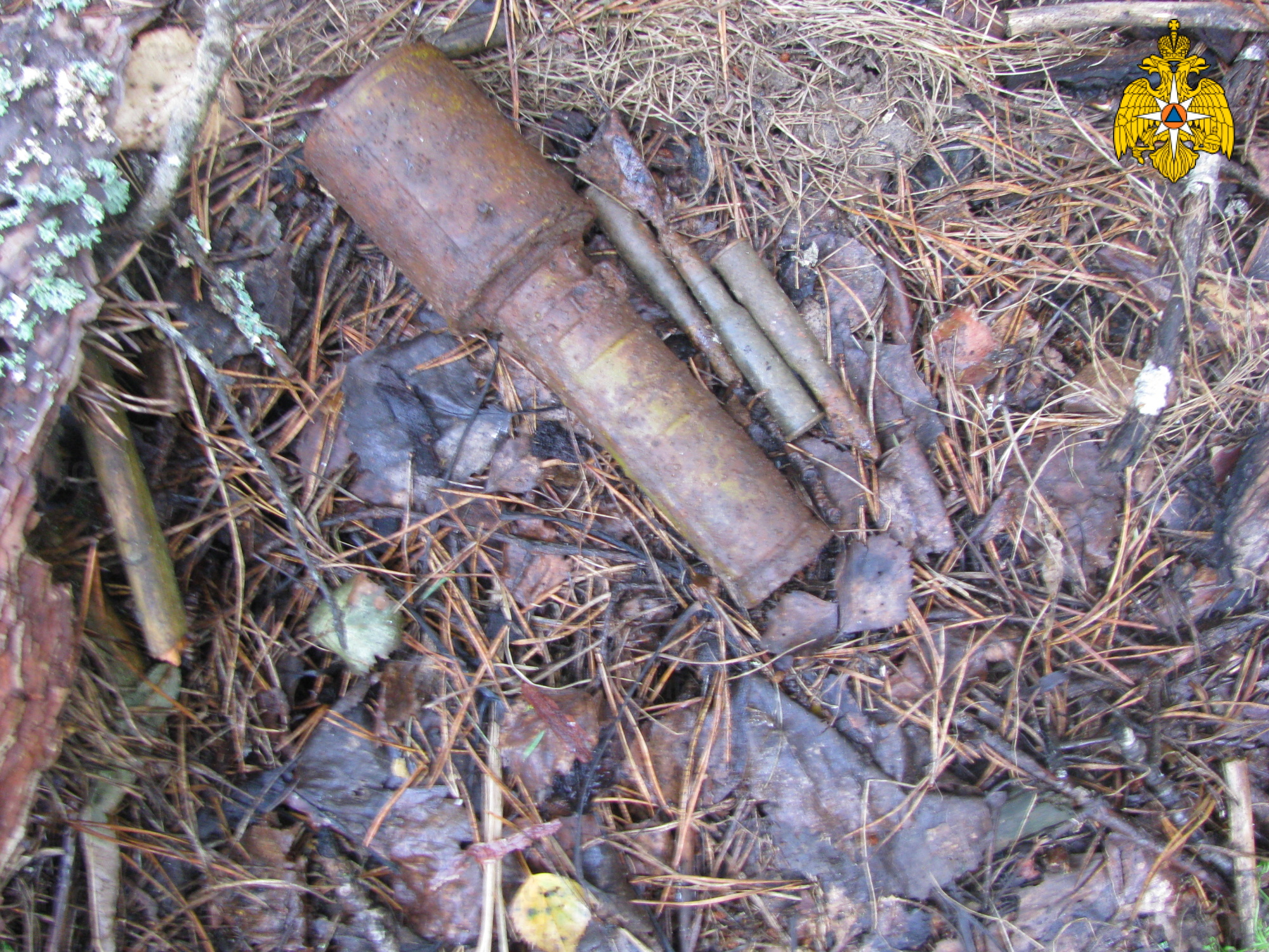 В поле под Дубровкой нашли гранату