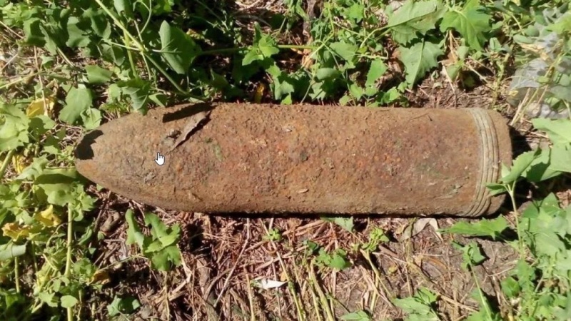 В лесу под Брянском нашли два снаряда