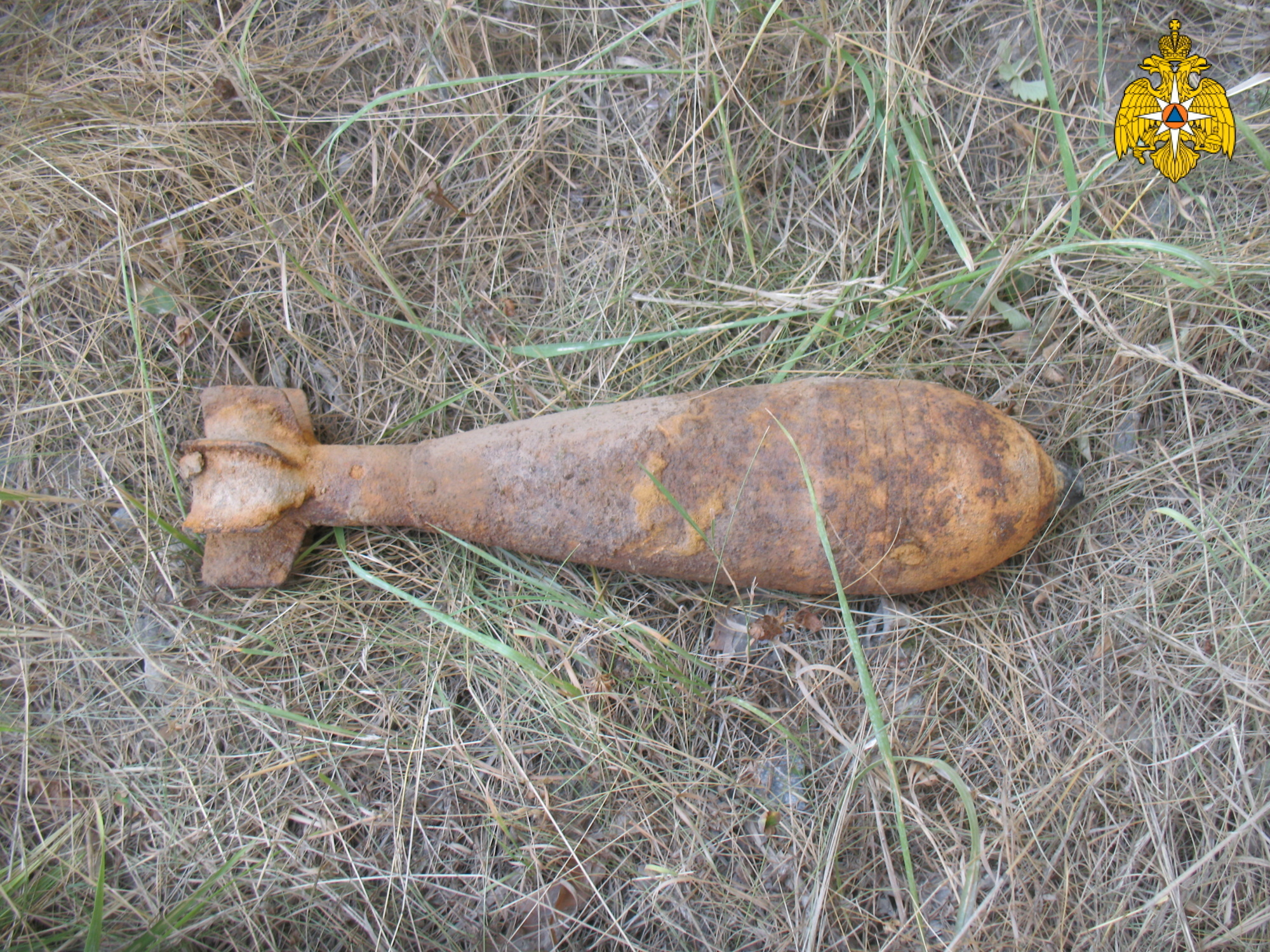 В лесу в Брасовском районе нашли минометную мину
