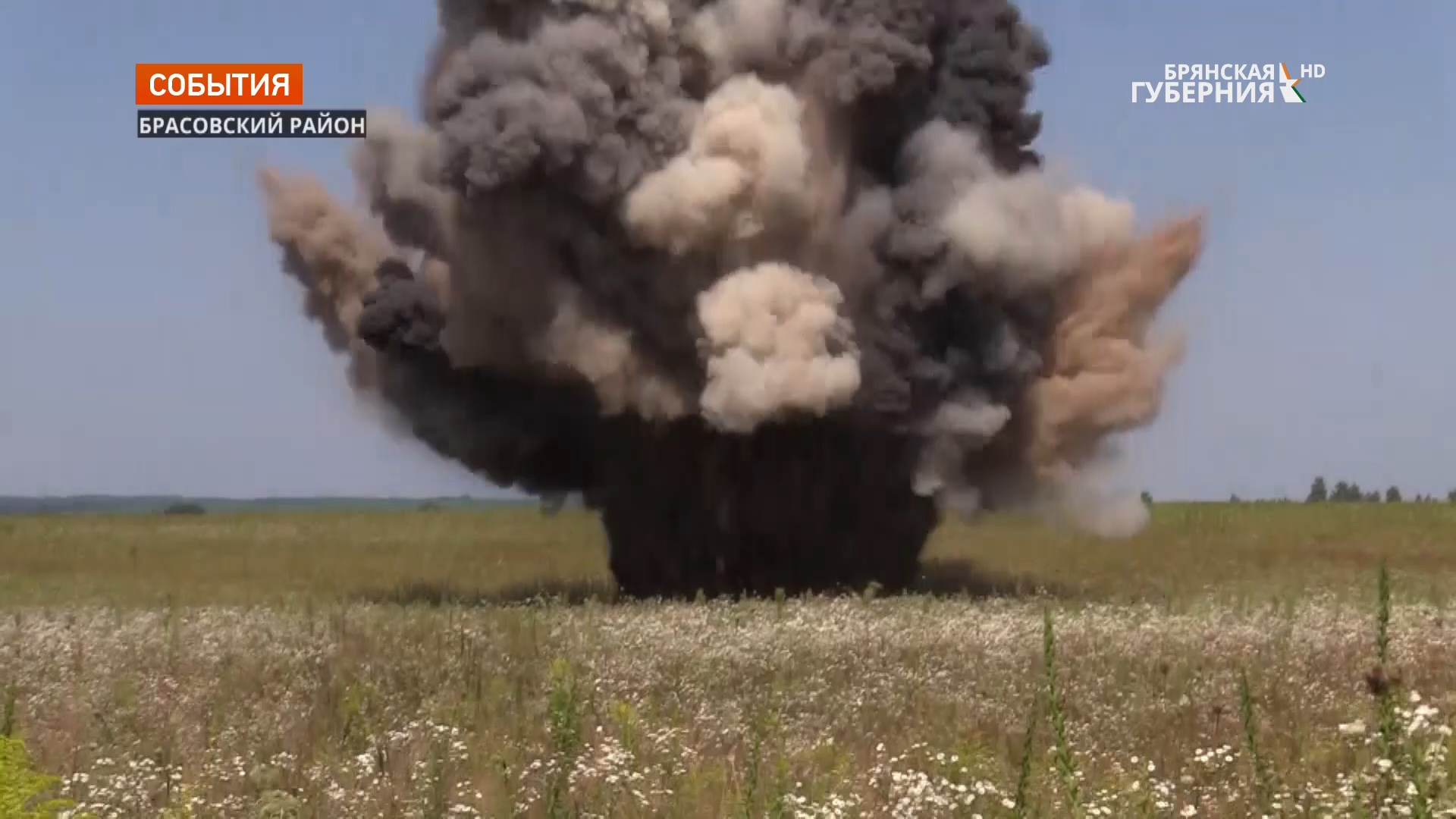 В Брянской области саперы уничтожили арсенал противотанковых мин