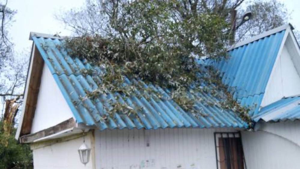 В Суземке Брянской области на жилой дом упала ветка