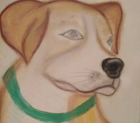 Рисунок юной жительницы Брянской области стал призером конкурса о фронтовых собаках