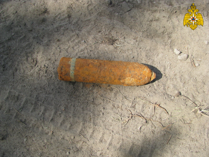 В Брасовском районе нашли артиллерийский снаряд