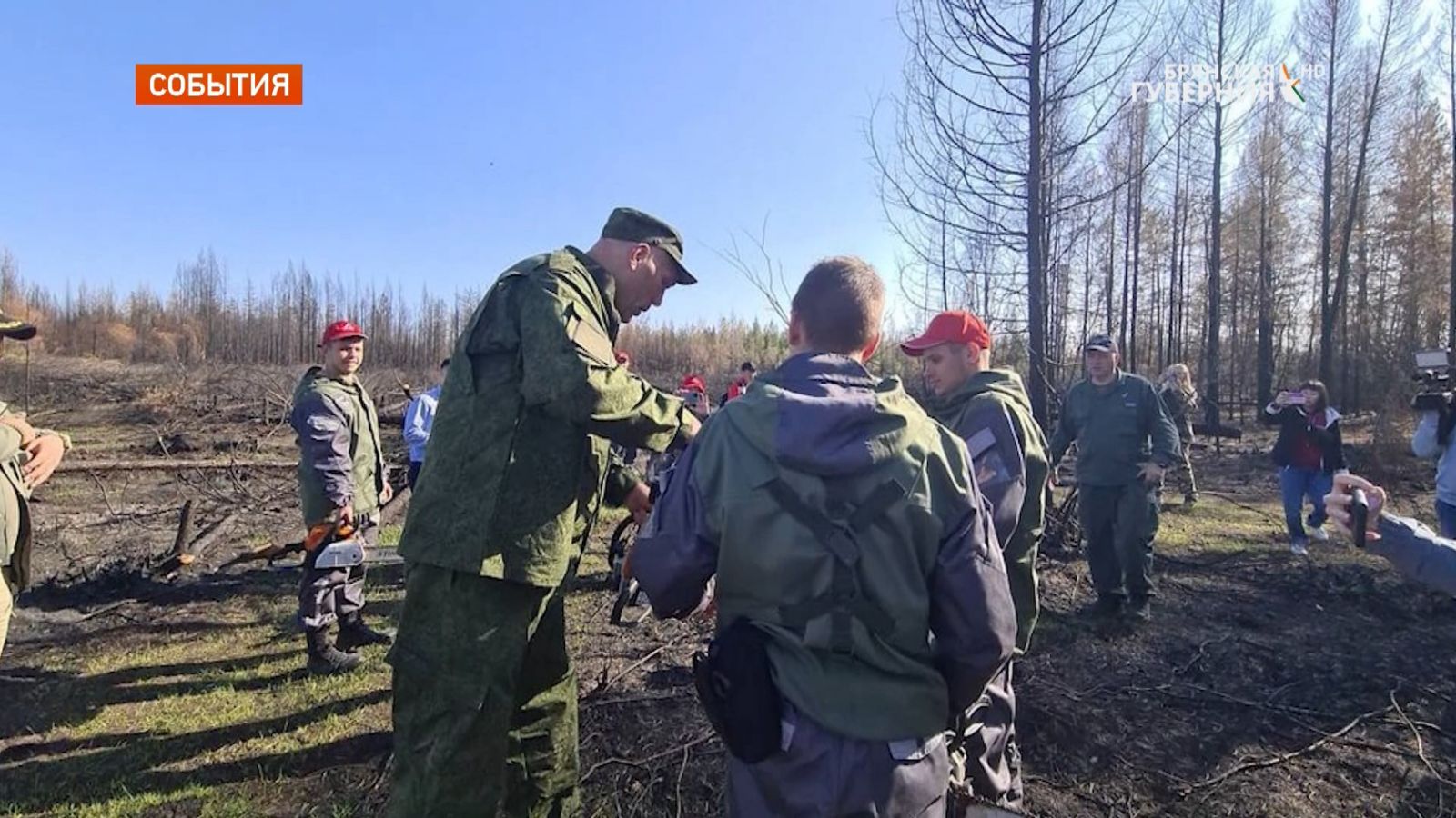 Брянский депутат Валуев вместе с волонтерами высадил в Якутии 50 сосен