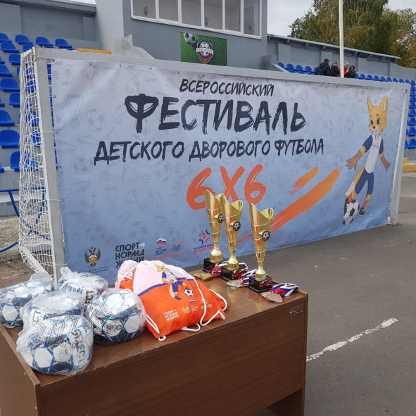В Брянске 5 детских команд разыграли награды фестиваля детского футбола