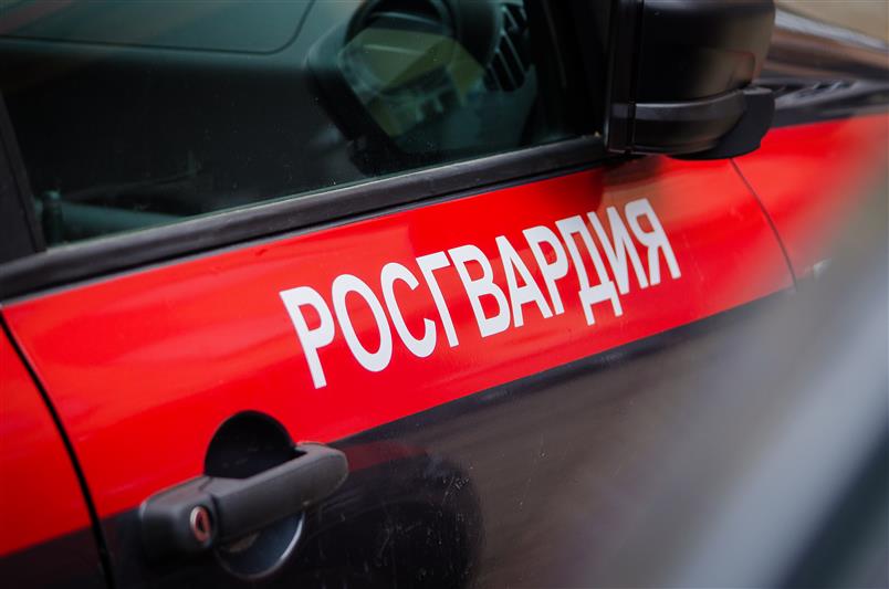 В Брянске росгвардейцы по горячим следам задержали 31-летнего вора