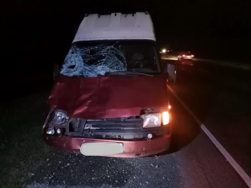 На брянской трассе водитель микроавтобуса сбил двух пешеходов: один из них погиб
