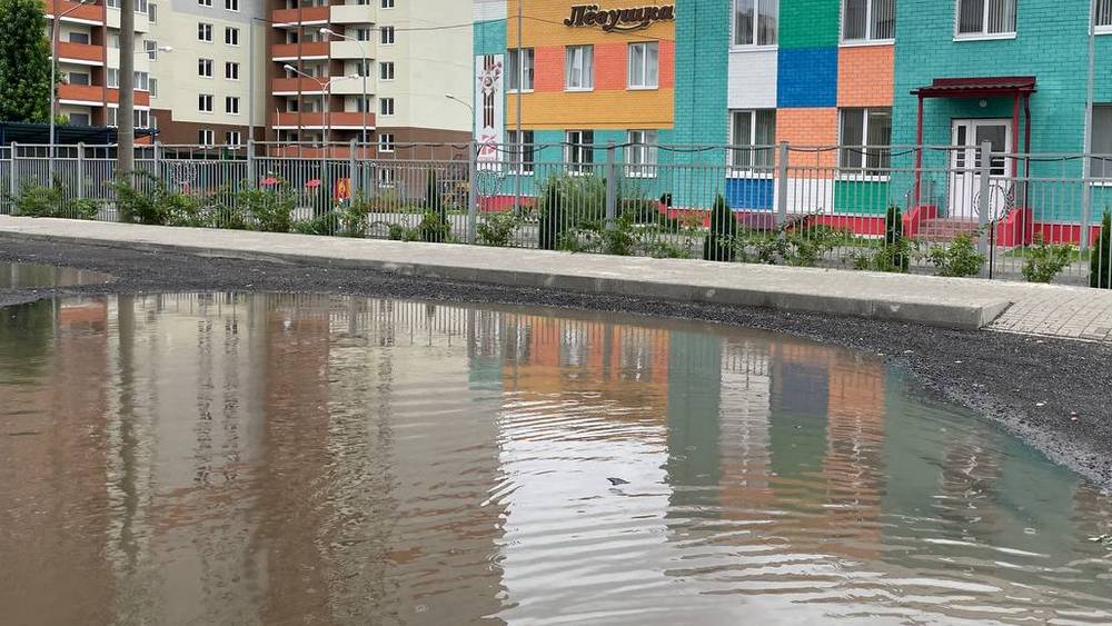 Огромную непросыхающую лужу возле детского сада «Лёвушка» в Брянске пообещали убрать