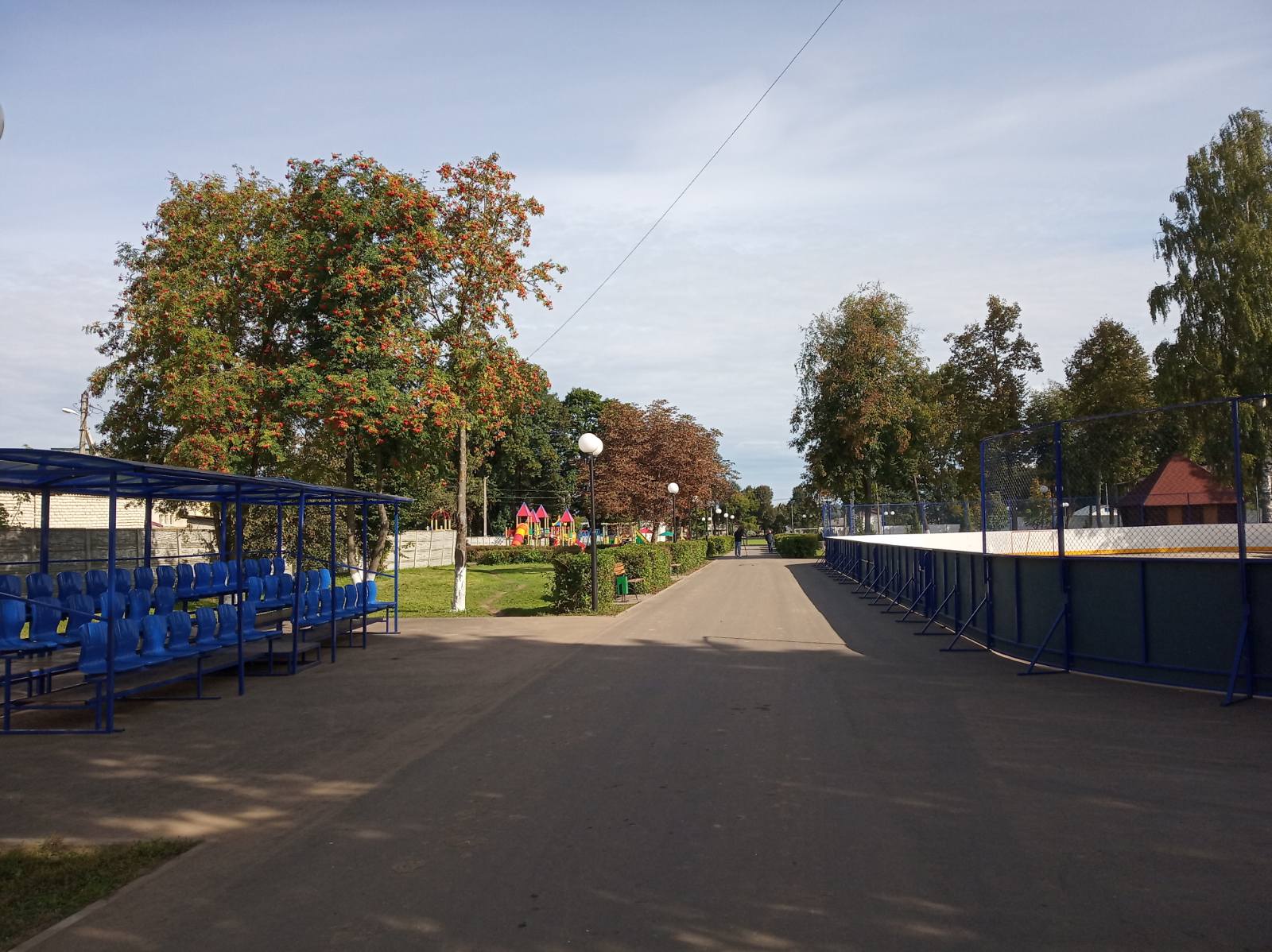 Глава региона Александр Богомаз осмотрел парк по улице Фокина в Дубровке