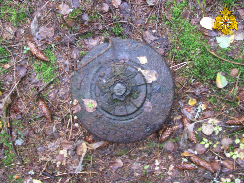 Возле «Партизанской поляны» под Брянском нашли противотанковую мину