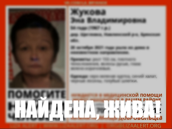 Пропавшая в Брянской области 54-летняя женщина найдена живой