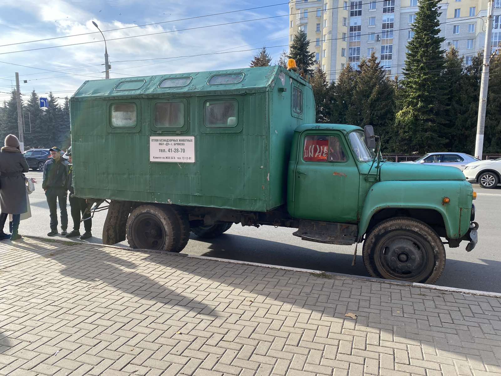 В Брянске заметили «зеленого монстра» по отлову бродячих собак