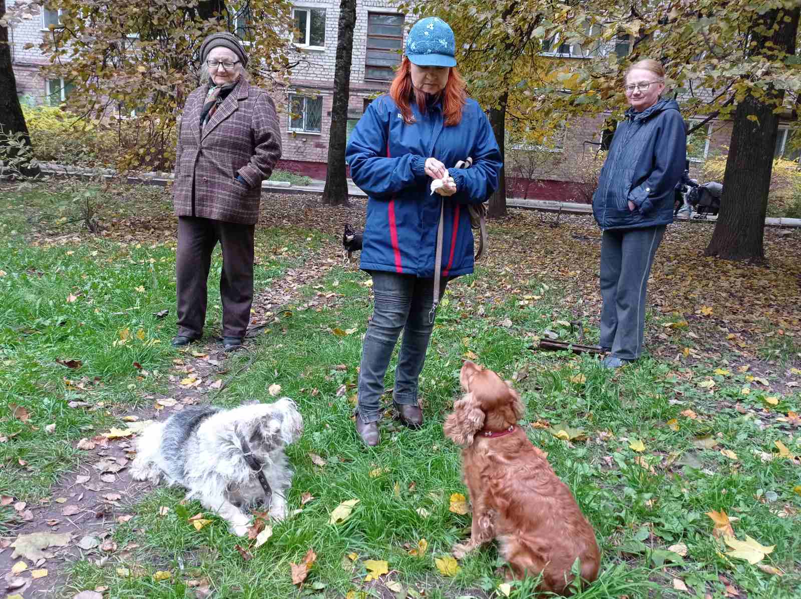 В Брянске любители животных встречают День их защиты вместе с питомцами