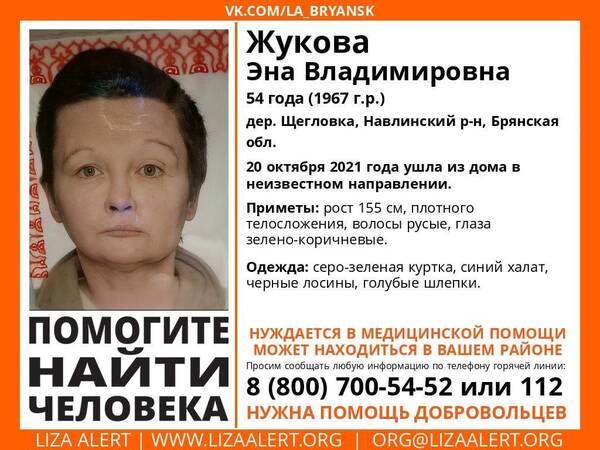 В Брянской области идут поиски пропавшей 54-летней Эны Жуковой