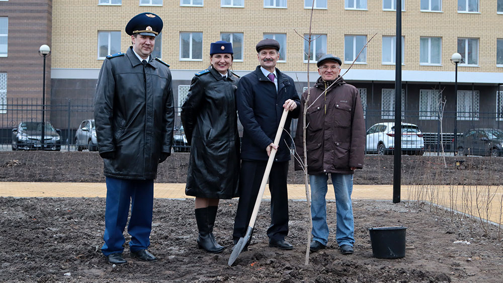 Высадили 58 клёнов в новом брянском сквере Рекункова