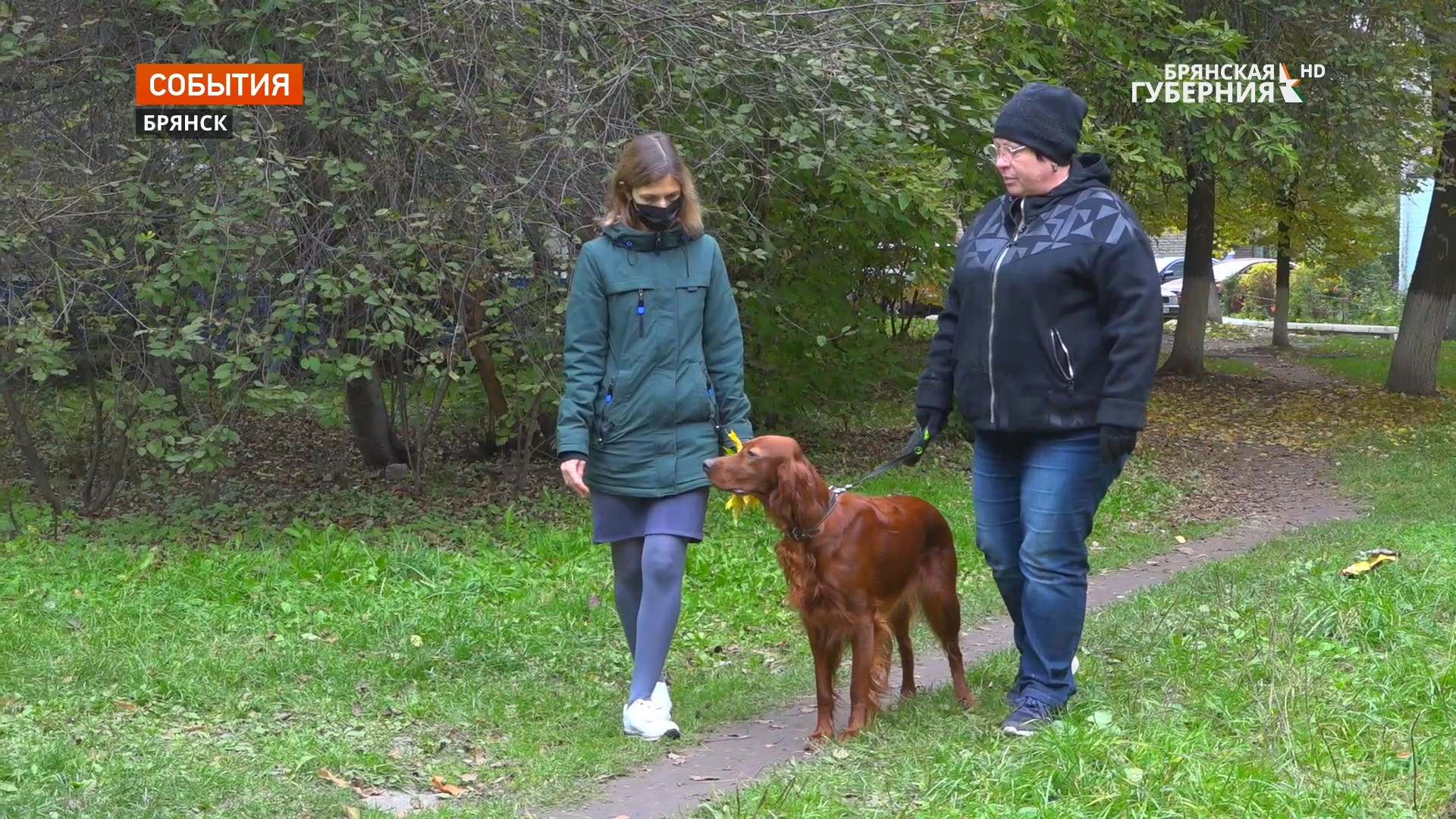 В Брянске любители животных встретили День их защиты вместе с питомцами