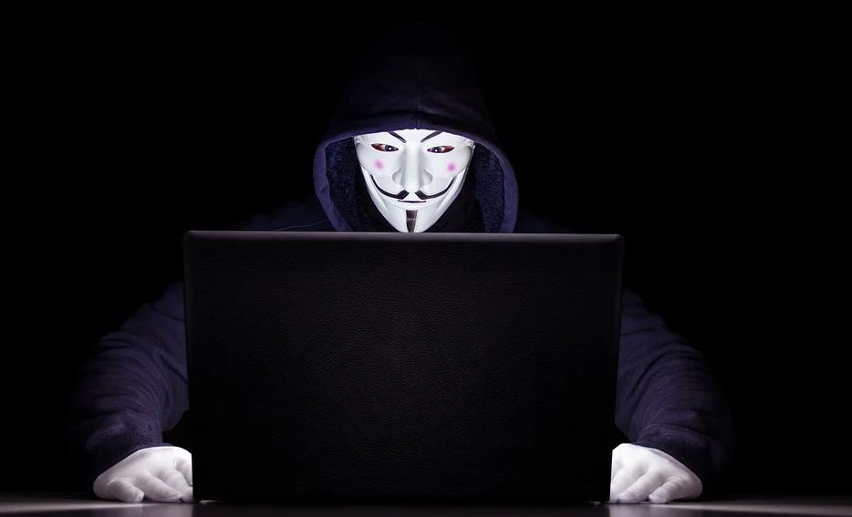 На Брянщине резко увеличилось число киберпреступлений