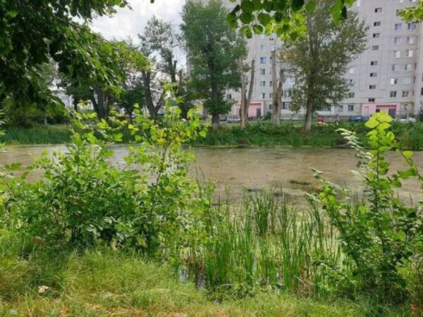 В Клинцах из-за переполненного водоема в парке закрыли движение по улице Октябрьской
