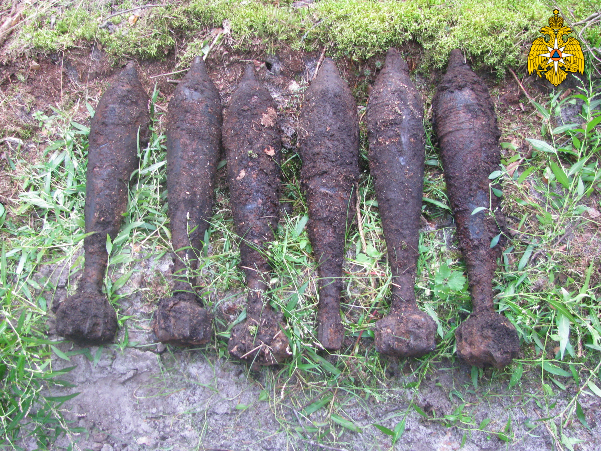 В лесу под Севском нашли девять минометных мин