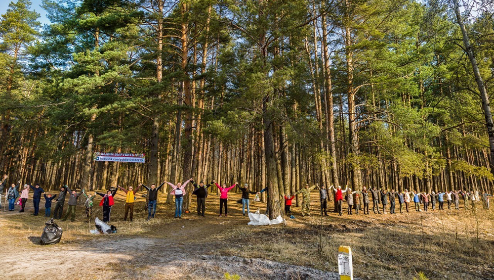 Жители Володарского района Брянска просят губернатора спасти лес