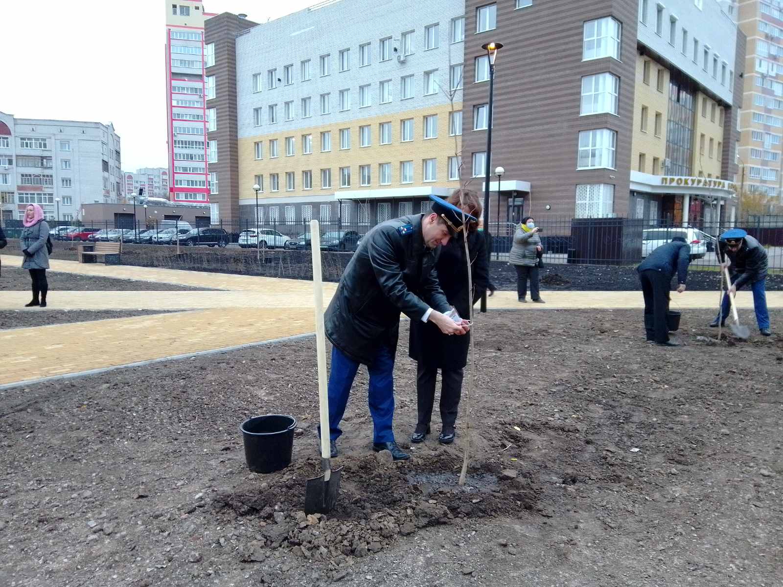 В Брянске в сквере Рекункова высадили деревья