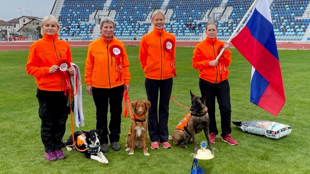 Российские собаки-спасатели завоевали золото на чемпионате мира в Румынии