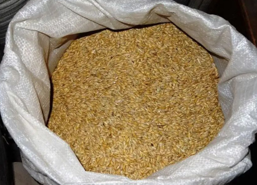 Жительница Стародубского района не нашла покупателей на краденую пшеницу