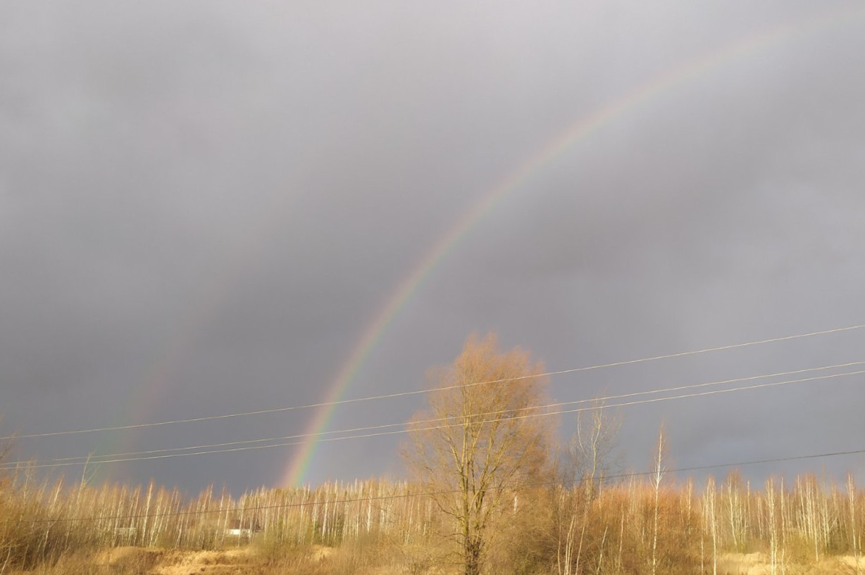 В Брянске очевидцы сфотографировали ноябрьскую радугу