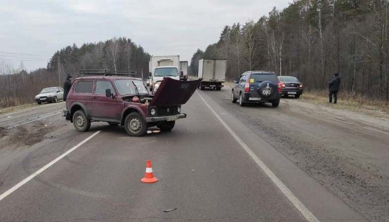 В ДТП под Брянском пострадал 73-летний водитель