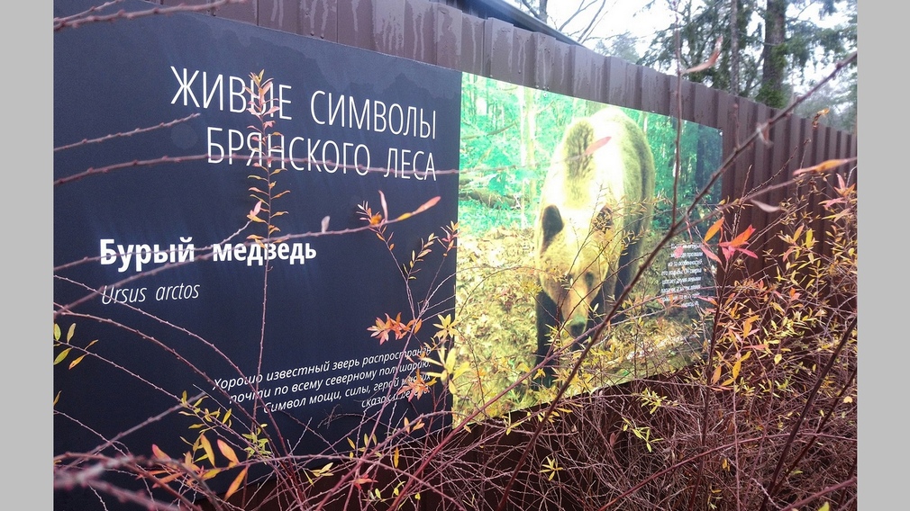 На центральной усадьбе заповедника «Брянский лес» открылась новая выставка