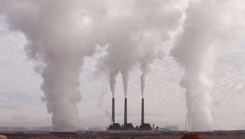 В Дятьково несколько деревообрабатывающих предприятий загрязняли воздух