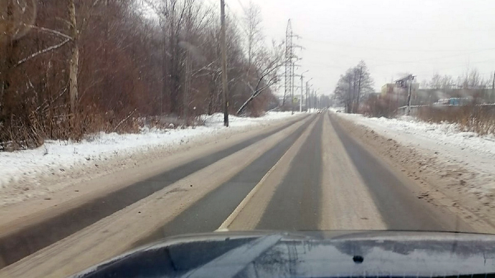 В Брянской области упавшее дерево угрожает водителям