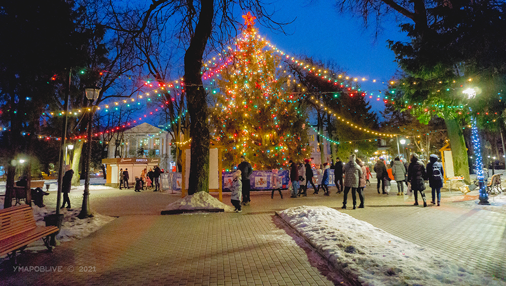 В новогоднюю ночь в Брянской области ожидается до 15 градусов мороза