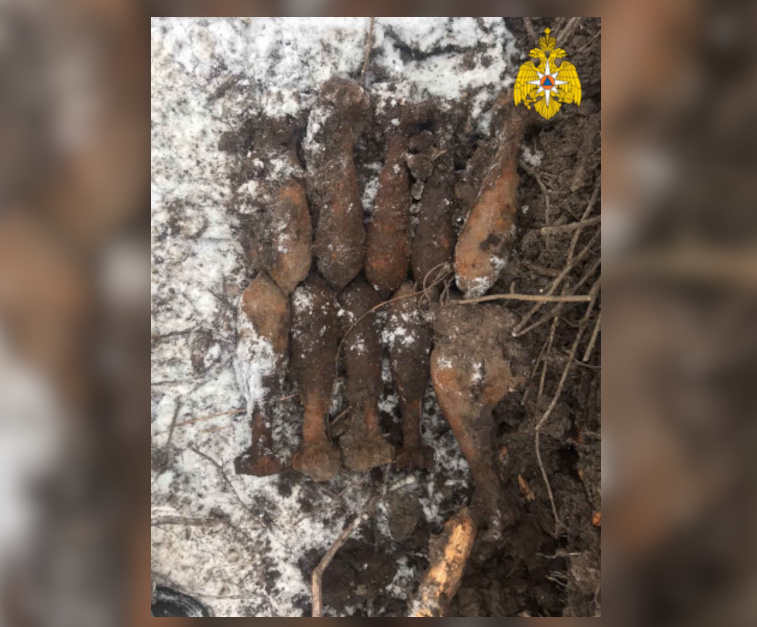 В Брянской области обезвредили десяток минометных мин и гранаты