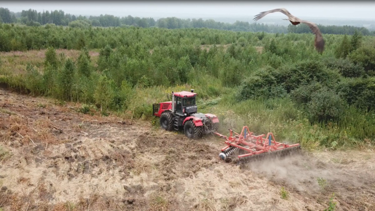 Более 12 тысяч гектаров заброшенных угодий на Брянщине в сельхозоборот вернёт "Мираторг"