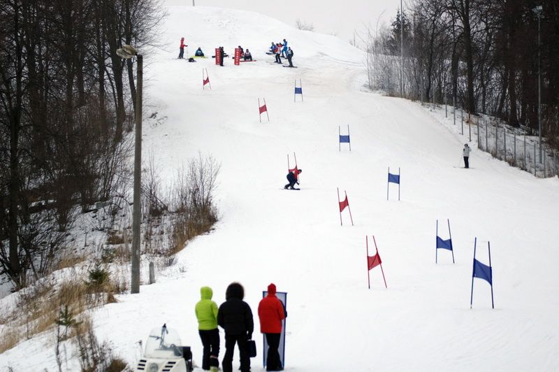 Жителям Брянска рассказали, где можно  покататься на горных лыжах