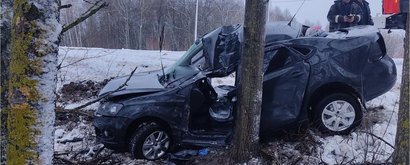 Под Почепом 40-летняя женщина на Volkswagen врезалась в дерево и сломала череп
