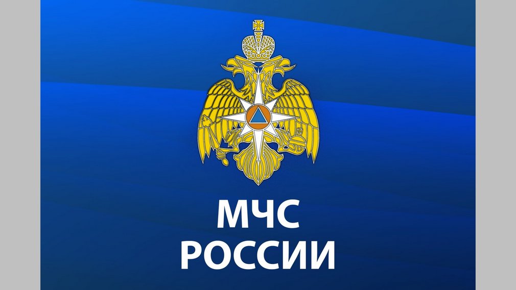 В этом году сотрудники Главного управления МЧС России по Брянской области спасли жизни 137 человек