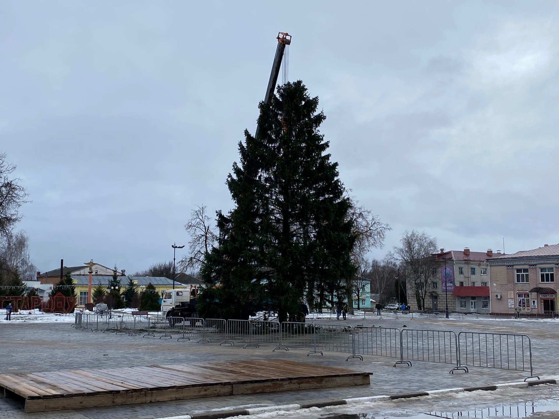 В Стародубе на центральной площади установили 20-метровую ель