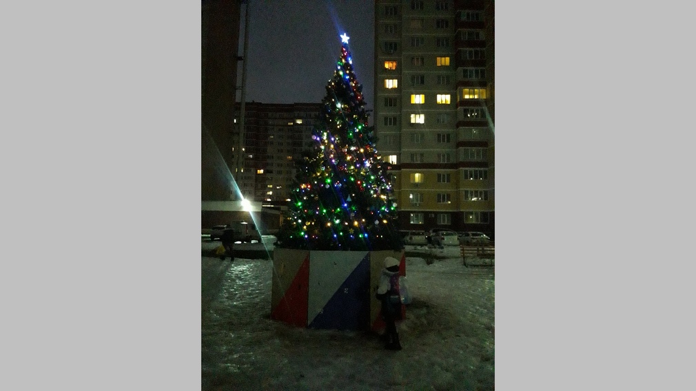 В Брянске на проспекте Станке Димитрова установили новогоднюю елку