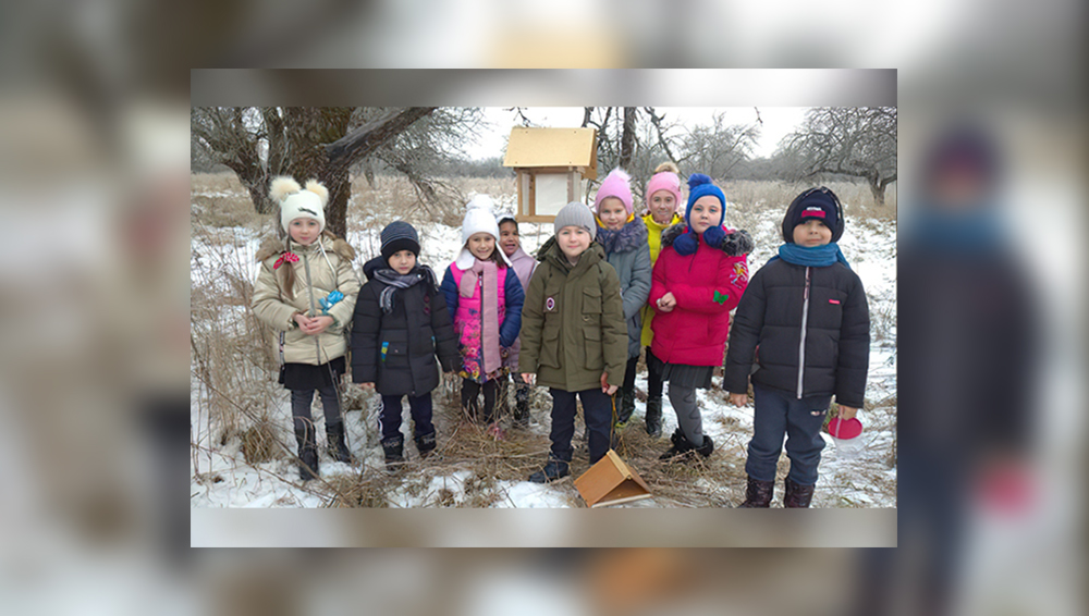 Младшеклассники замишевской школы сделали кормушки для птиц