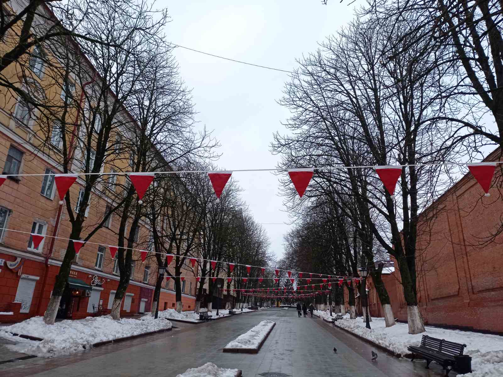 В Брянске бульвар Гагарина украсили шапочками Санты