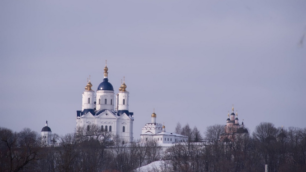 В социальных сетях опубликовали зимние пейзажи Андреевского луга и Свенского Монастыря
