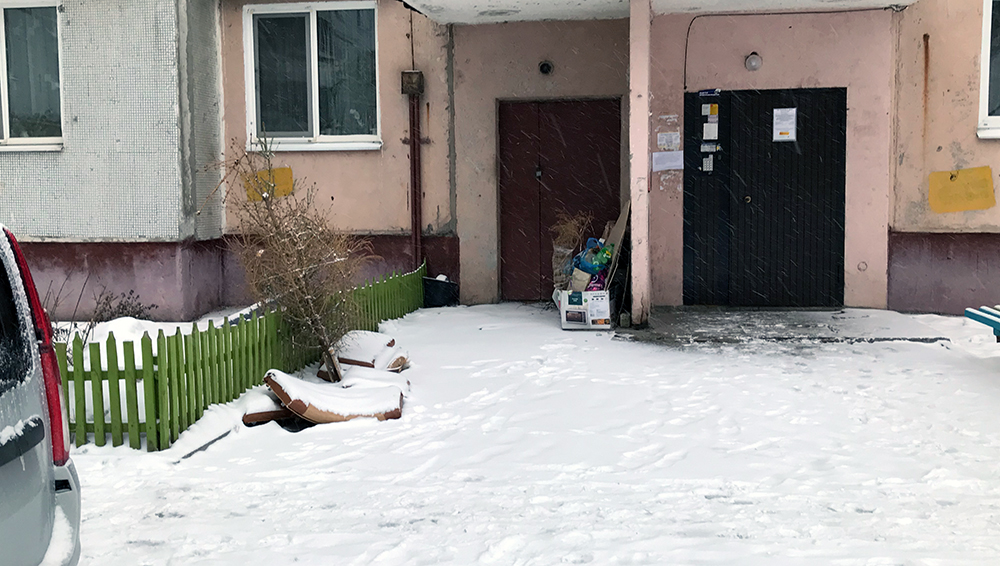 Жители Брянска продолжают выкидывать новогодние ёлки