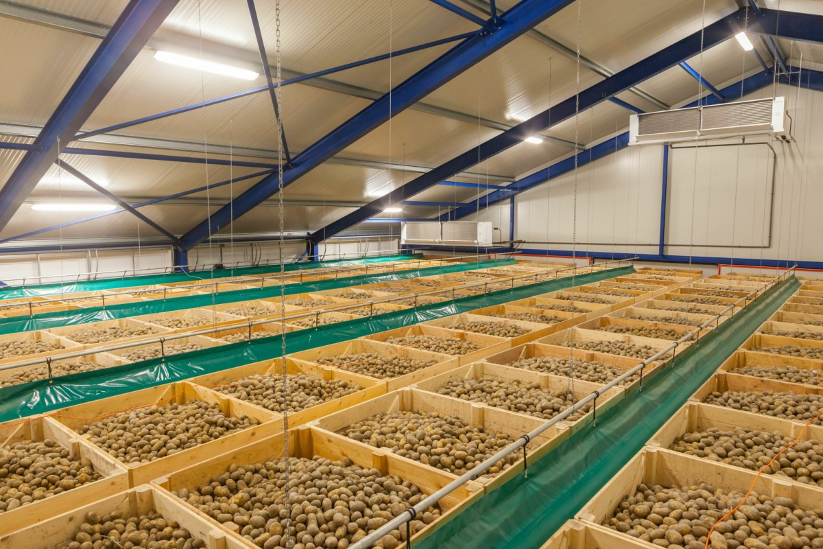 В Брянской области построят новое картофелехранилище на 3 тысячи тонн
