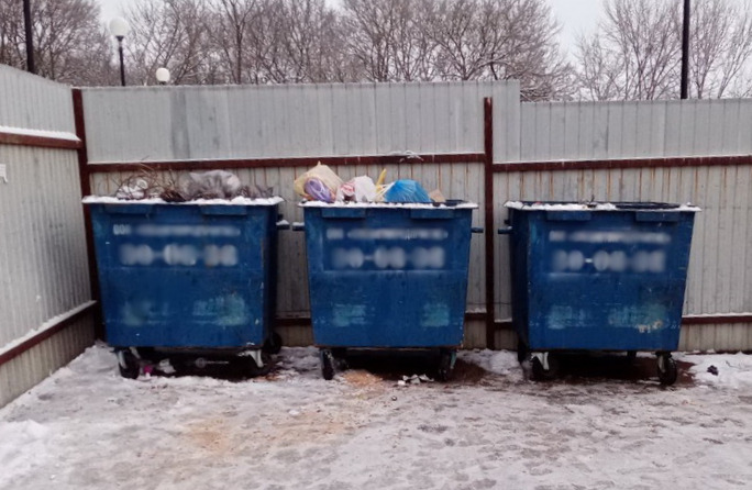 В Брянской области в 2021 году установили более 700 контейнеров и бункеров для мусора