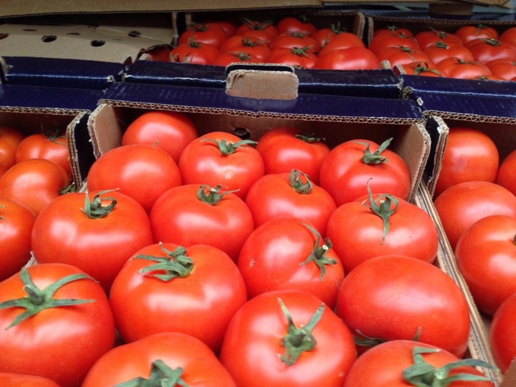 В Брянской области вновь выявили вирус в турецких томатах