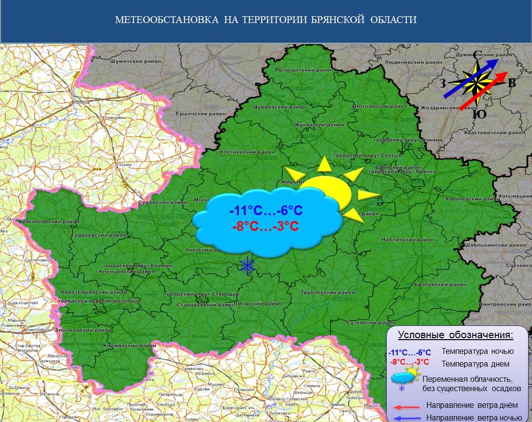 К утру 8 января в Брянской области похолодает до -11 градусов