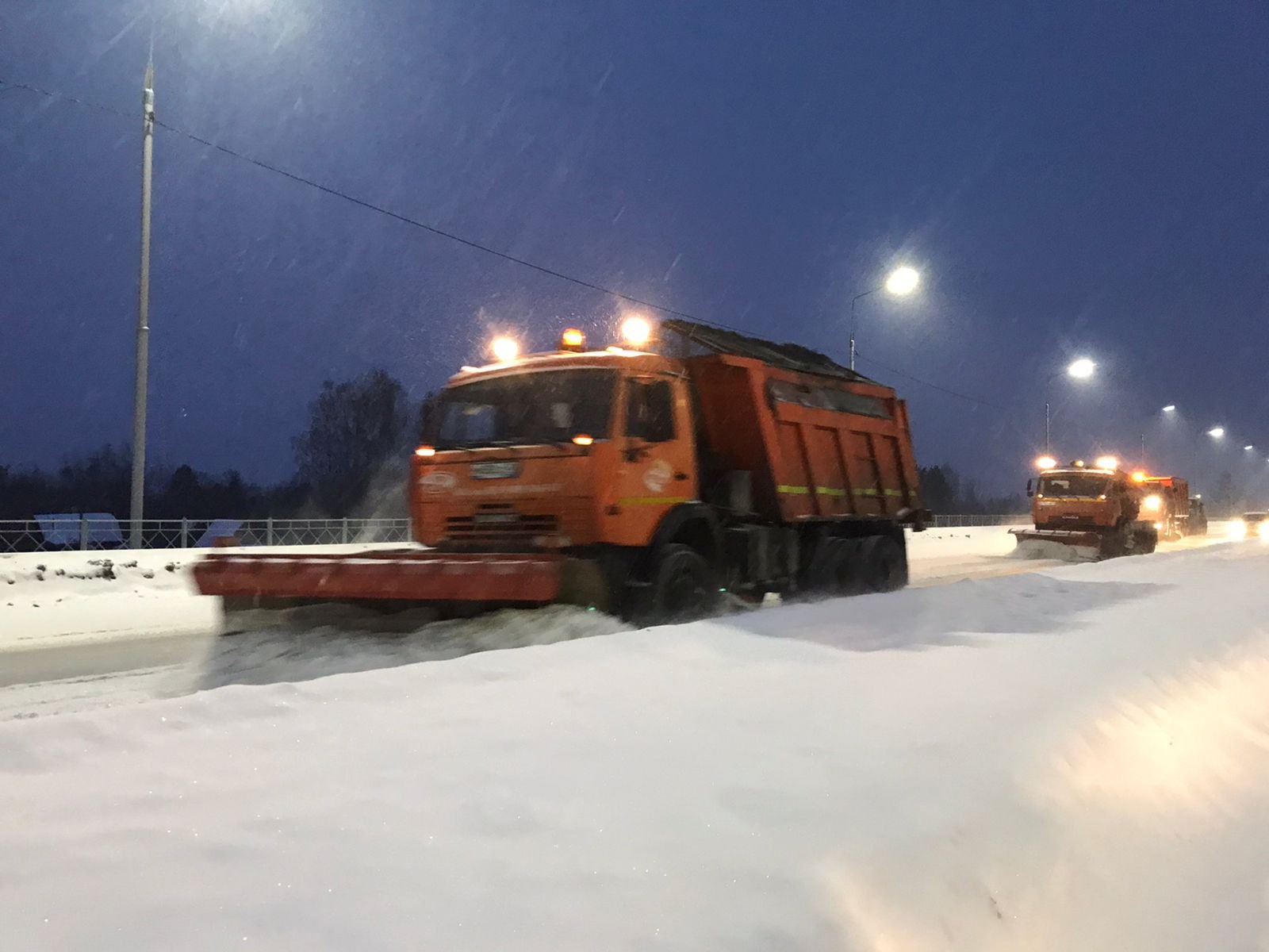 В Брянске за ночь выпало рекордное количество снега