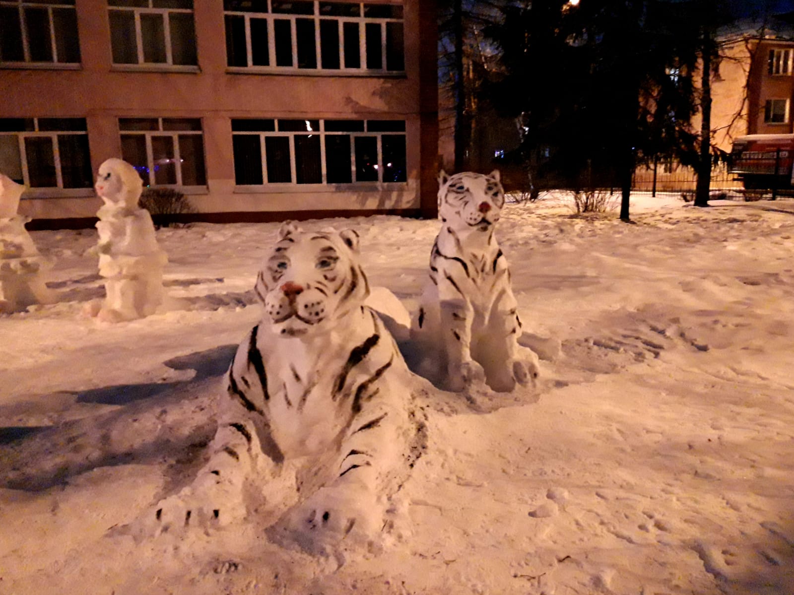 Снежные тигры взяли под охрану брянскую гимназию № 7
